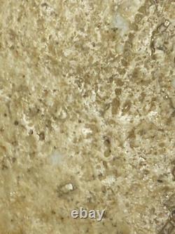 Thai Amulet Pendant Original Thailand Buddha Somdej LP TOH Wat Rakang Phim YAI