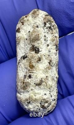 Thai Amulet Rare Antique Phra Buddha Naga Prok