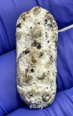 Thai Amulet Rare Antique Phra Buddha Naga Prok