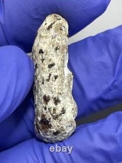 Thai Amulet Rare Antique Phra Buddha Naga Prok