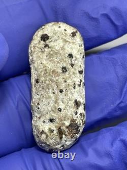 Thai Amulet Rare Antique Phra Buddha Naga Prok