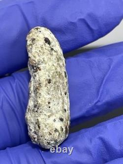 Thai Amulet Rare Antique Phra Buddha Naga Prok