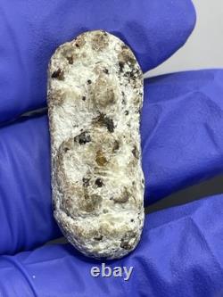 Thai Amulet Rare Antique Phra Buddha Naga Prok