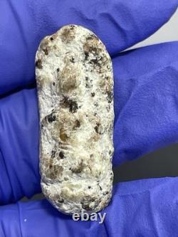 Thai Amulet Rare Antique Phra Buddha Naga Prok