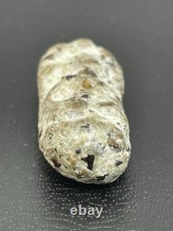 Thai Amulet Rare Antique Phra Buddha Naga Prok