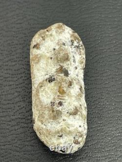 Thai Amulet Rare Antique Phra Buddha Naga Prok