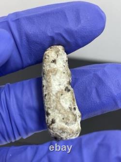 Thai Amulet Rare Antique Phra Buddha Naga Prok