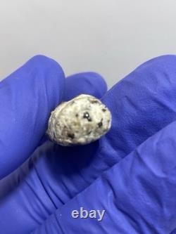 Thai Amulet Rare Antique Phra Buddha Naga Prok