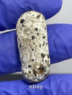 Thai Amulet Rare Antique Phra Buddha Naga Prok