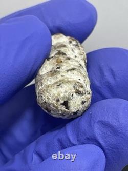 Thai Amulet Rare Antique Phra Buddha Naga Prok