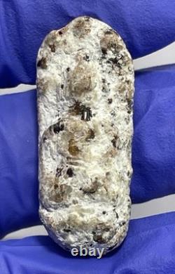 Thai Amulet Rare Antique Phra Buddha Naga Prok