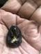 Thai Buddha Amulet