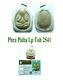 Thai Buddha Amulet Certificated Phra Pidta Lp Toh Wat Pradoochimpee Be 2541