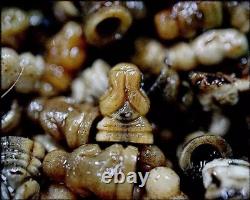 Thai Buddha Phra Pidta Mahalaruayrom Talisman Amulet Fortune Wealth Prosperity