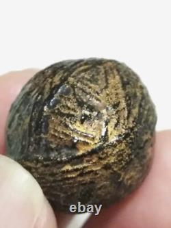 Thai buddha Amulet Luk Om Holy LP Yim Wat Nongbua Kanchanaburi Talisman Lucky