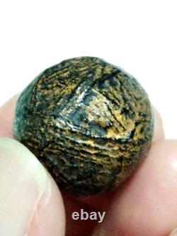 Thai buddha Amulet Luk Om Holy LP Yim Wat Nongbua Kanchanaburi Talisman Lucky