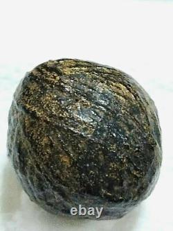 Thai buddha Amulet Luk Om Holy LP Yim Wat Nongbua Kanchanaburi Talisman Lucky