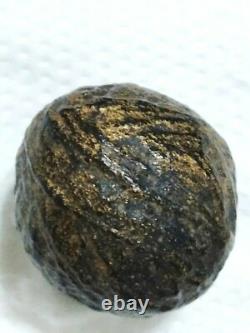 Thai buddha Amulet Luk Om Holy LP Yim Wat Nongbua Kanchanaburi Talisman Lucky