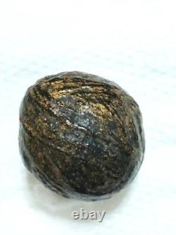 Thai buddha Amulet Luk Om Holy LP Yim Wat Nongbua Kanchanaburi Talisman Lucky