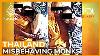 Thailand S Tainted Robes Misbehaving Monks 101 East