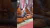 This Wild Monkey Calmly Meditates With Monks In Thailand USA Today Shorts