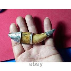 Tiger Fang thai Amulets Lord Jungle Superpowers Buddha Big 4 Inches Strong Magic
